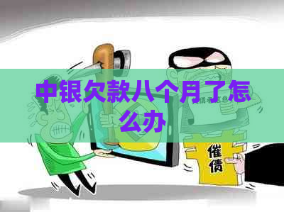 中银欠款八个月了怎么办