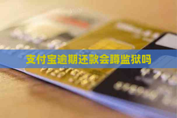 支付宝逾期还款会蹲监狱吗