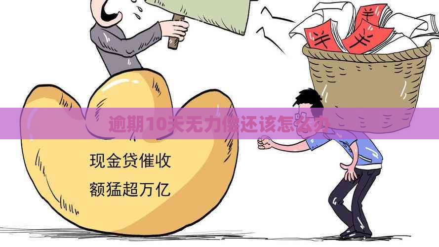 逾期10天无力偿还该怎么办
