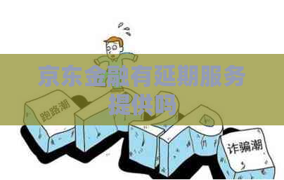 京东金融有延期服务提供吗