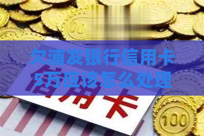 欠浦发银行信用卡5万应该怎么处理
