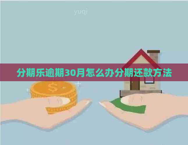 逾期30月怎么办分期还款方法