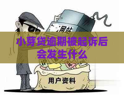 小芽贷逾期被起诉后会发生什么