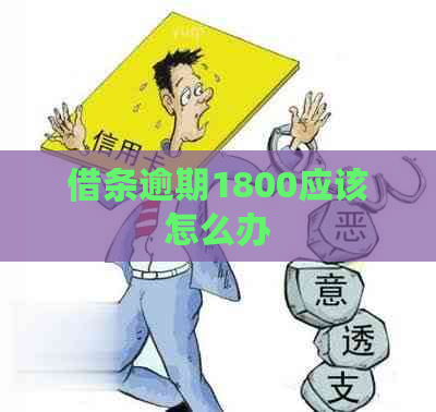 借条逾期1800应该怎么办