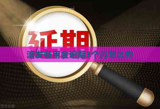 浦发备用金逾期3个月怎么办