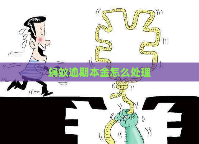 蚂蚁逾期本金怎么处理
