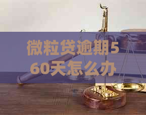 微粒贷逾期560天怎么办