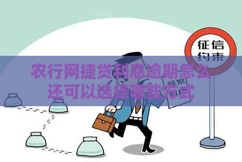 农行网捷贷利息逾期怎么还可以选择哪些方式