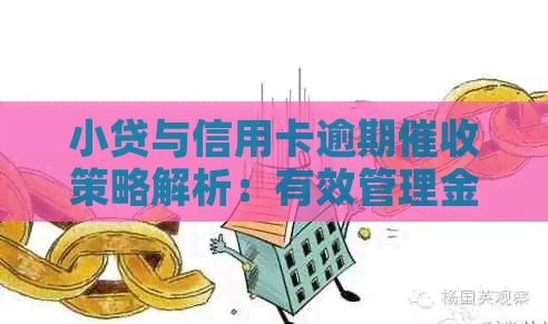 小贷与信用卡逾期策略解析：有效管理金融风险的关键