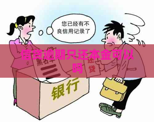 信贷逾期只还本金可以吗