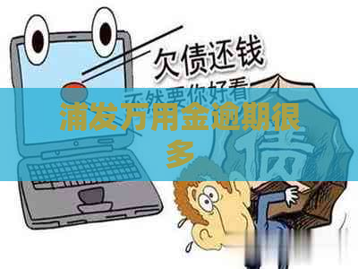 浦发万用金逾期很多