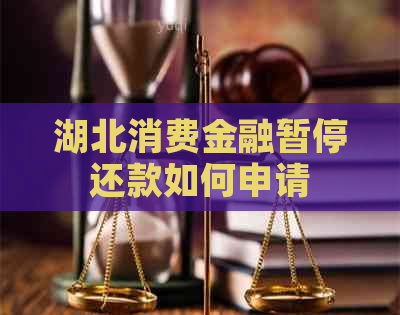 湖北消费金融暂停还款如何申请