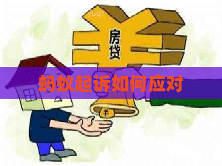 蚂蚁起诉如何应对