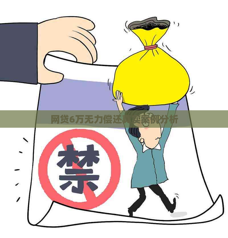 网贷6万无力偿还真实案例分析