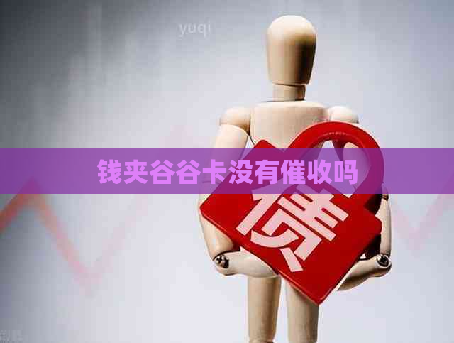 钱夹谷谷卡没有吗