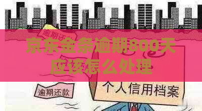 京东金条逾期800天应该怎么处理