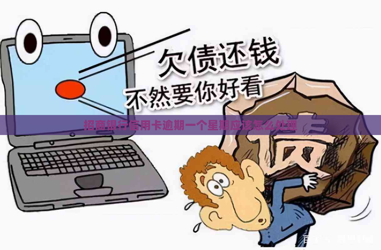 招商银行信用卡逾期一个星期应该怎么处理
