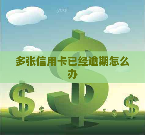 多张信用卡已经逾期怎么办