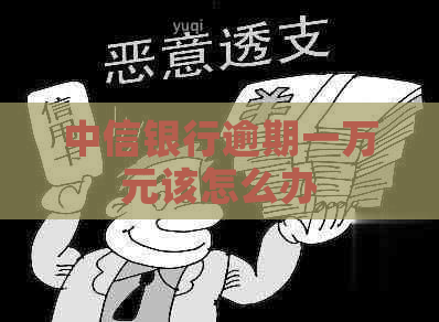 中信银行逾期一万元该怎么办