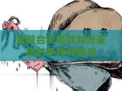 金融合同借款纠纷鉴定的步骤和程序