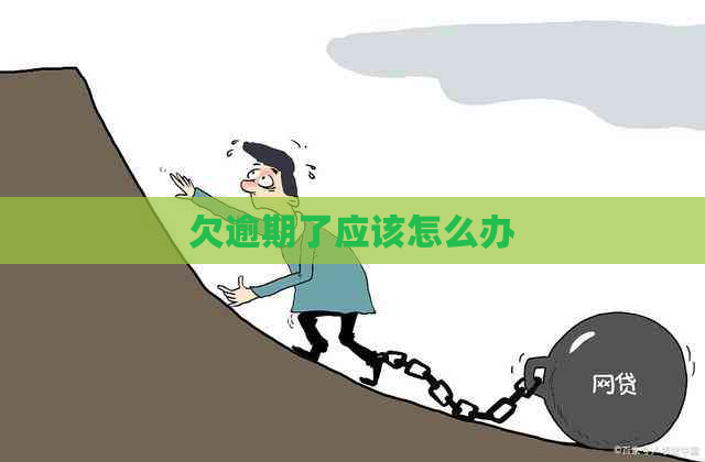 欠逾期了应该怎么办