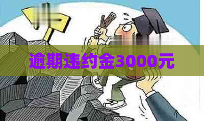 逾期违约金3000元