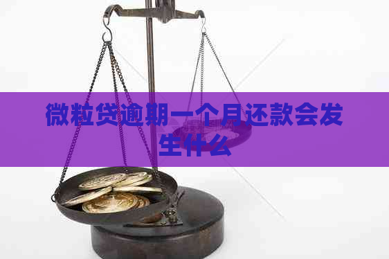 微粒贷逾期一个月还款会发生什么