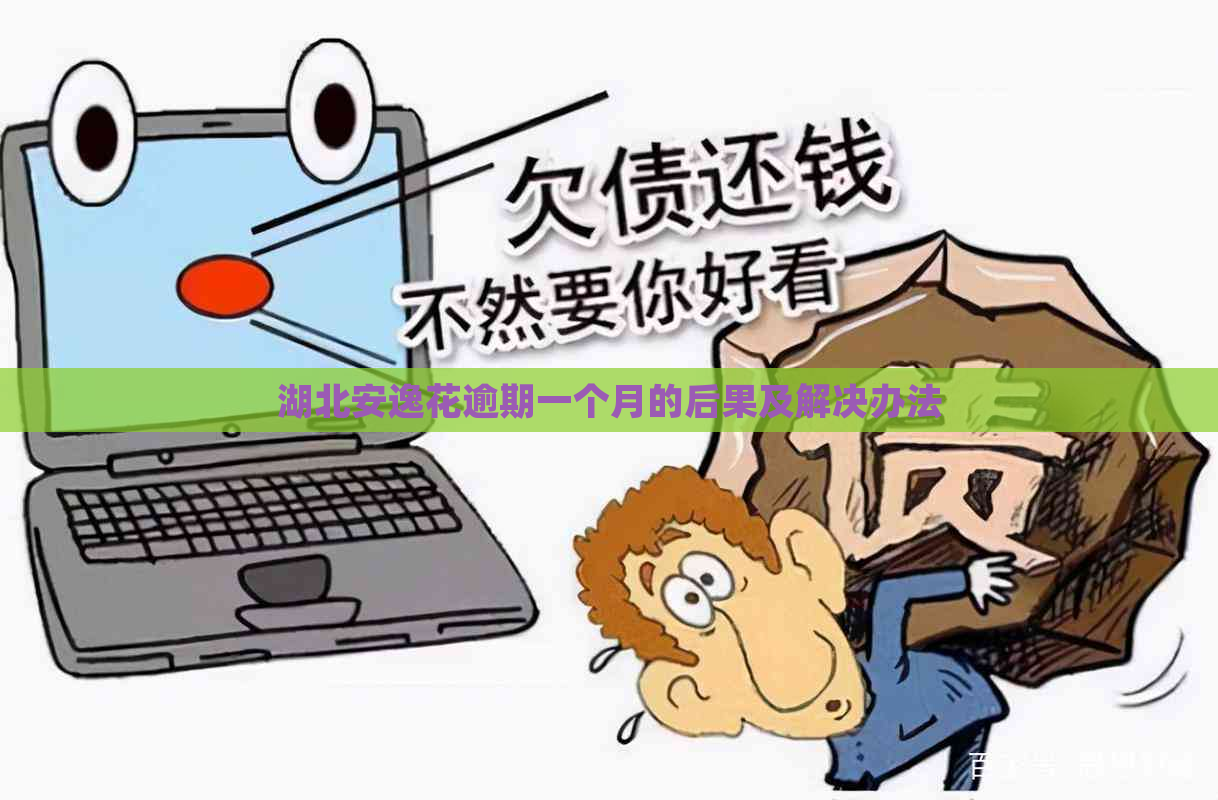 湖北安逸花逾期一个月的后果及解决办法