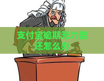 支付宝逾期无力偿还怎么办