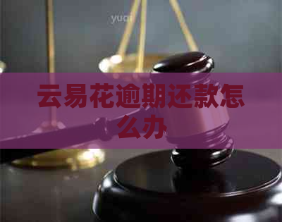 云易花逾期还款怎么办