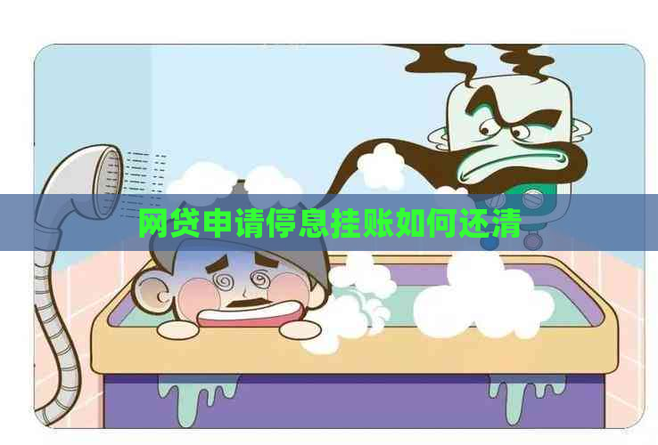 网贷申请停息挂账如何还清