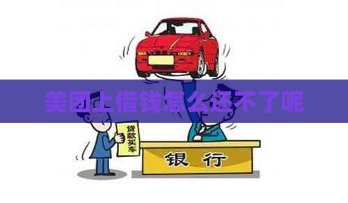 美团上借钱怎么还不了呢