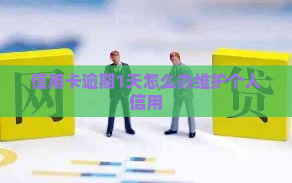 信用卡逾期1天怎么办维护个人信用