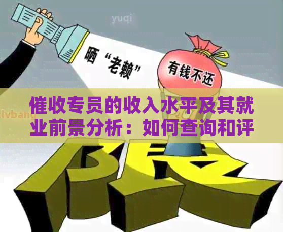 专员的收入水平及其就业前景分析：如何查询和评估待遇？