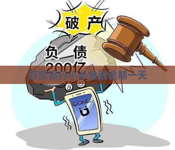 百信银行小米金融逾期一天
