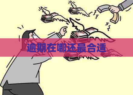 逾期在哪还最合适