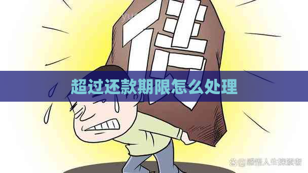 超过还款期限怎么处理