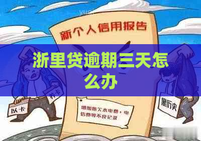 浙里贷逾期三天怎么办