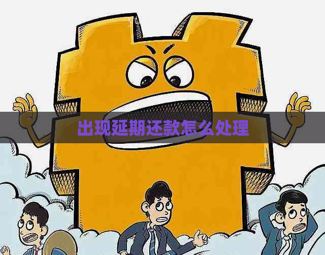 出现延期还款怎么处理