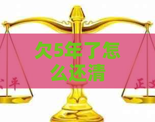 欠5年了怎么还清