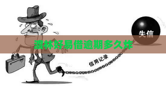 渡林好易借逾期多久炸
