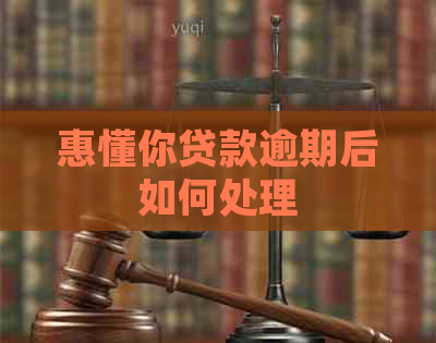惠懂你贷款逾期后如何处理