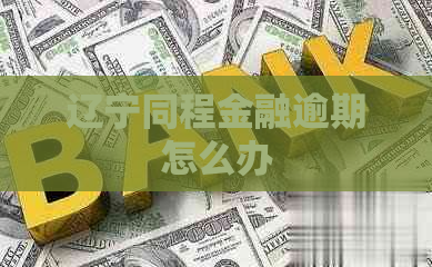 辽宁同程金融逾期怎么办