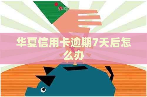 华夏信用卡逾期7天后怎么办