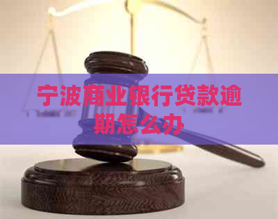 宁波商业银行贷款逾期怎么办