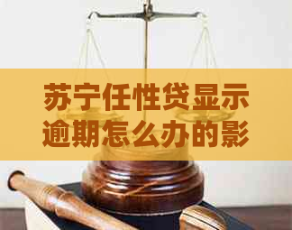 苏宁任性贷显示逾期怎么办的影响及后果