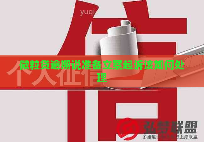微粒贷逾期说准备立案起诉该如何处理