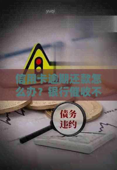 信用卡逾期还款怎么办？银行不断，如何解决这一问题？