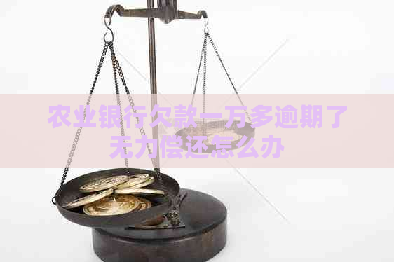 农业银行欠款一万多逾期了无力偿还怎么办