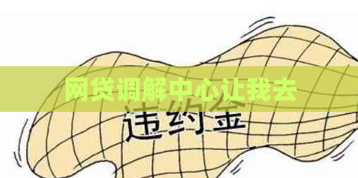 网贷调解中心让我去
